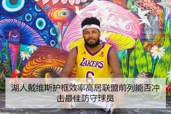 湖人戴维斯护框效率高居联盟前列能否冲击最佳防守球员